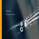 Birdfeeder Cover Art