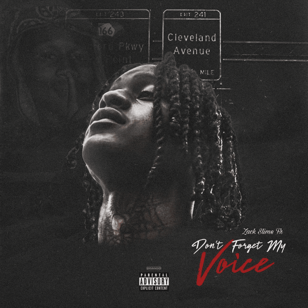 Don’t Forget My Voice