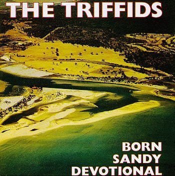Born Sandy Devotional