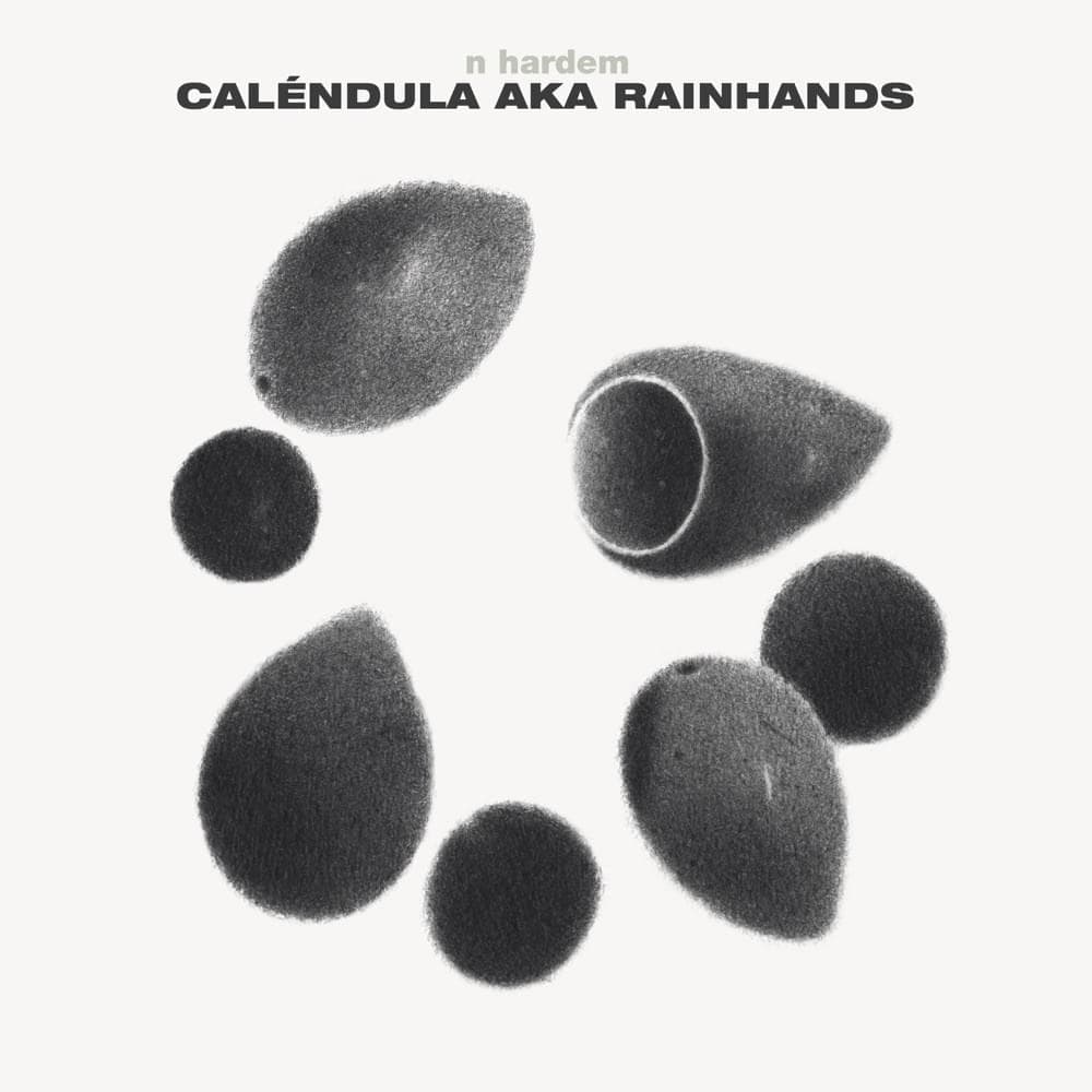 Album cover art for "Caléndula Aka Rainhands" by N. Hardem