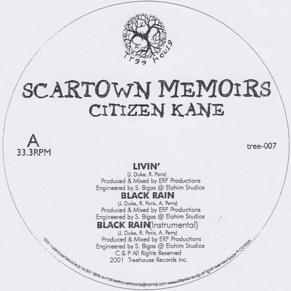 Scartown Memoirs
