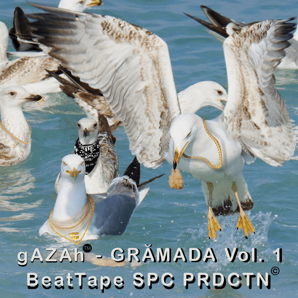 Grămada Vol. 1 Beat Tape