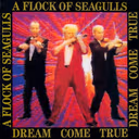 Who's That Girl (She's Got It) Cover Art