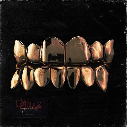 Album cover art for "Grillz" by H Roto
