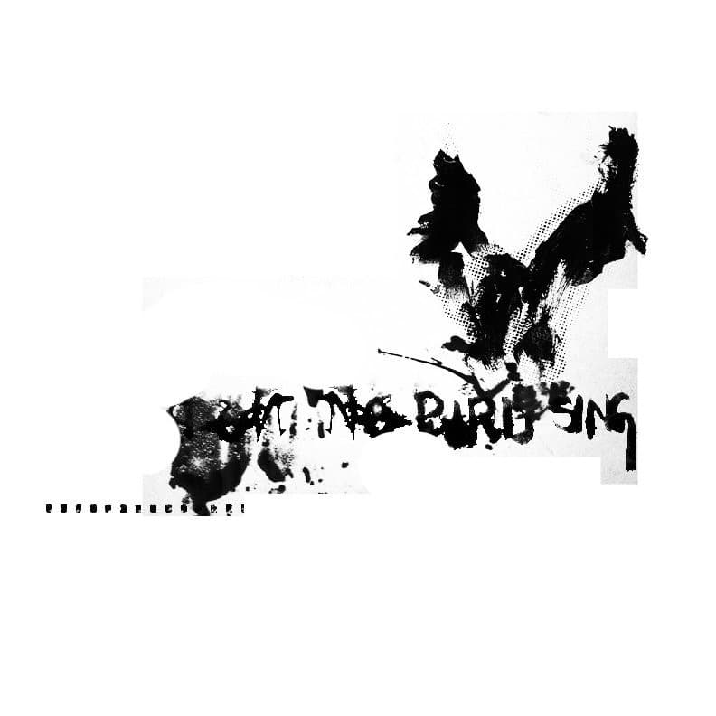 No Bird Sing