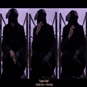 SUDDEN DEATH Cover Art