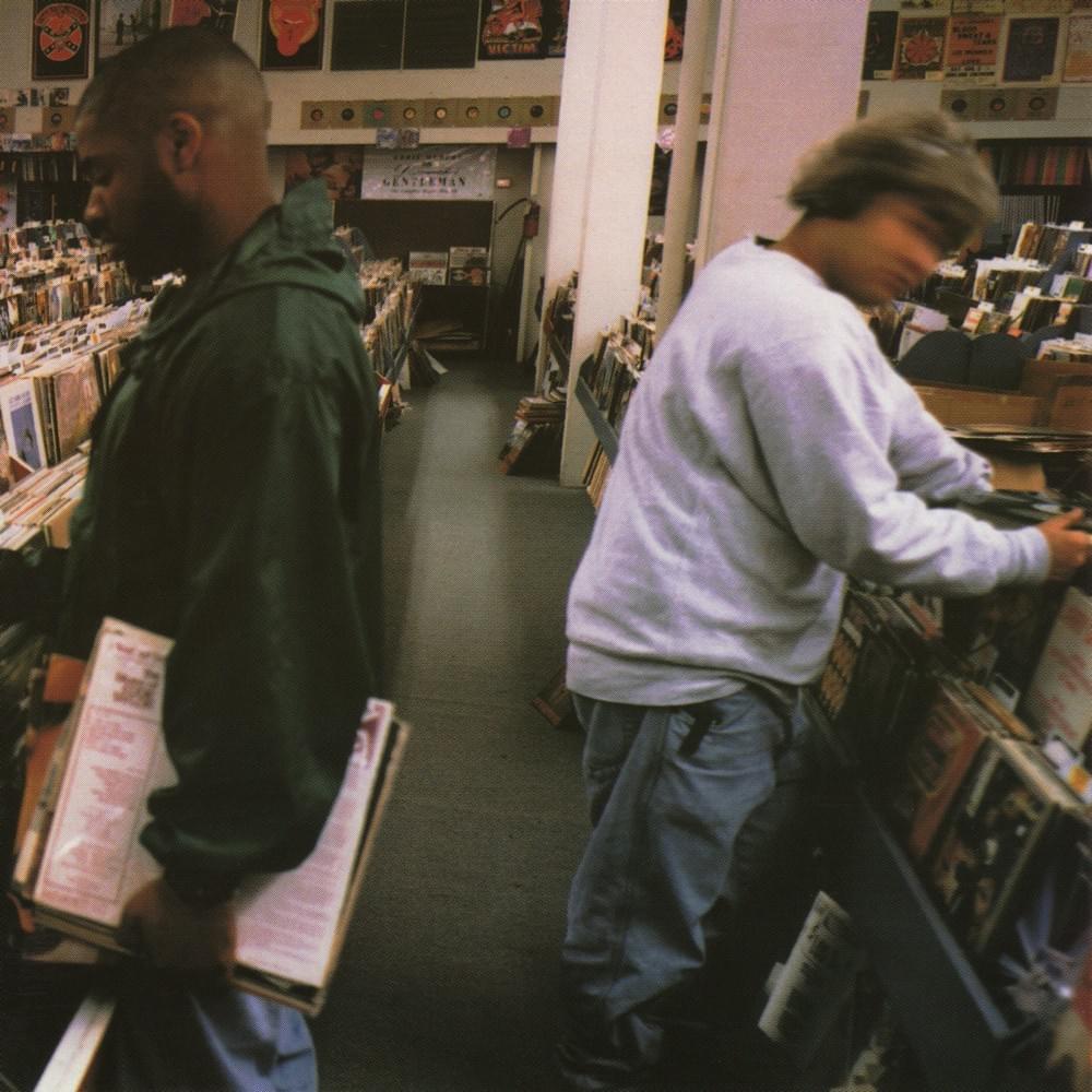 Endtroducing.....