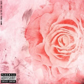 Every Rose Has Its Thorn