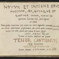 Novum et insigne opus musicum, Vol. 2