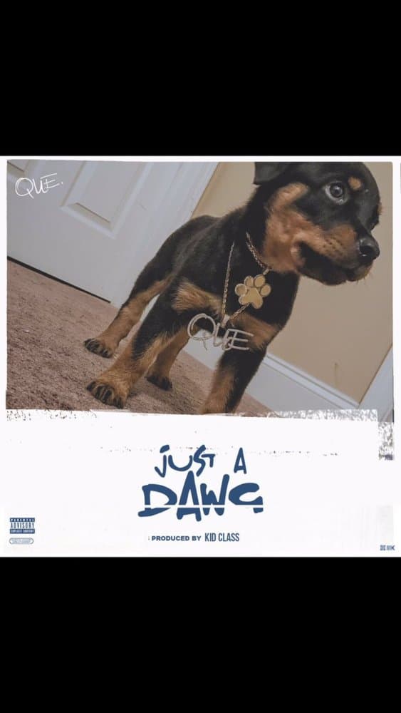 Album cover art for "Just a Dawg" by QUE. & Jzapal