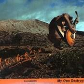 My Own Destruction