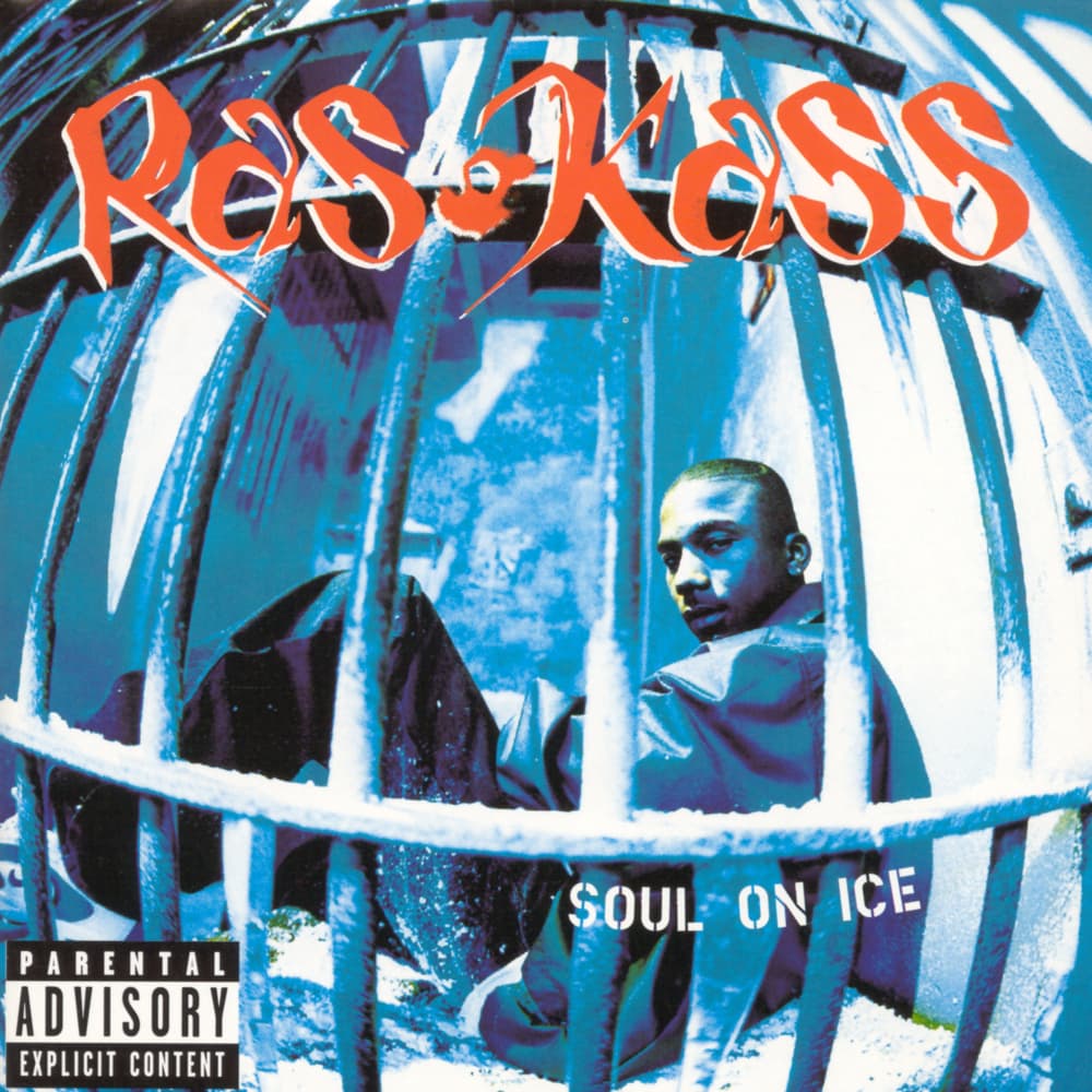 Soul on Ice