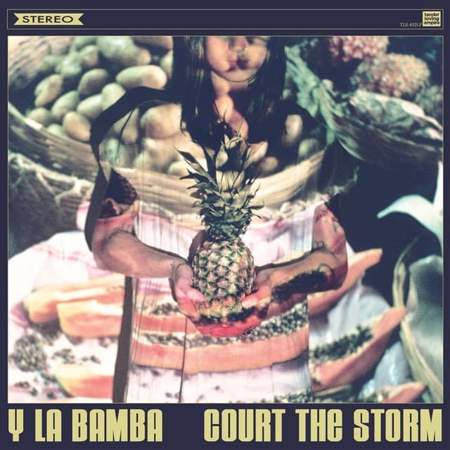 Court the Storm Cover Art
