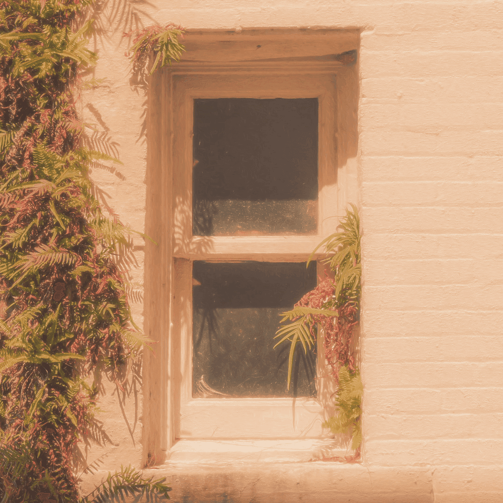 Album cover art for "overgrown." by i can’t trust myself tonight