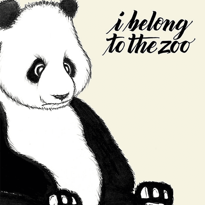 I Belong to the Zoo Cover Art
