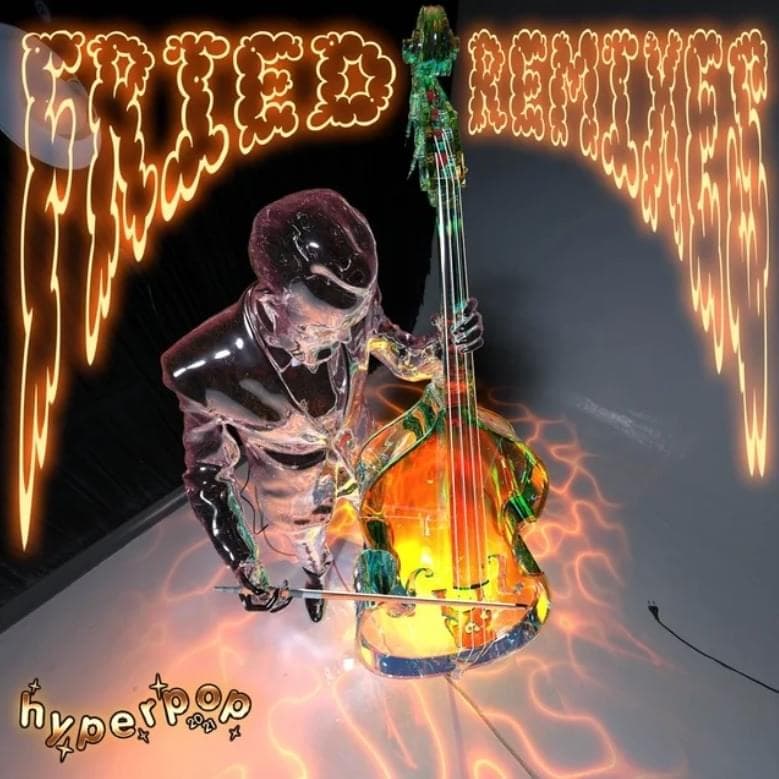 Fried (Remixes) Cover Art