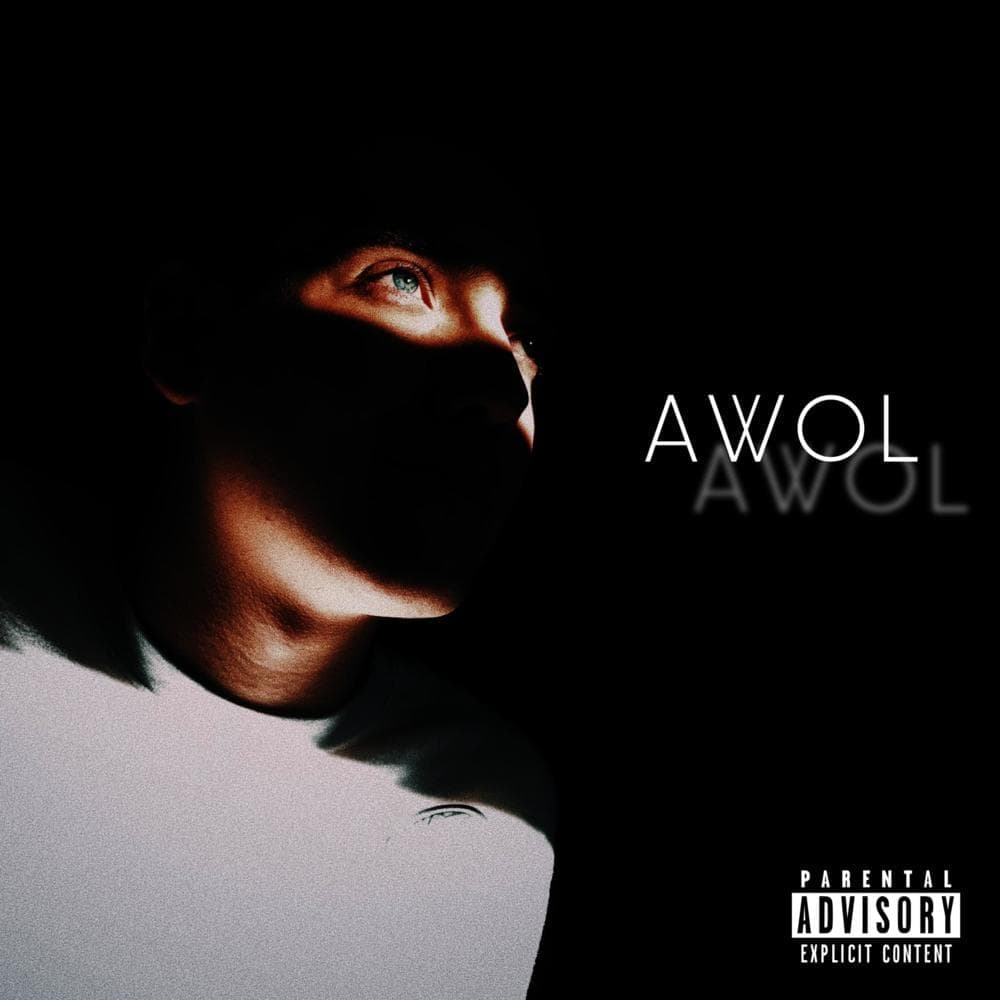 Album cover art for "Hollywood Drive" by Z.Settle