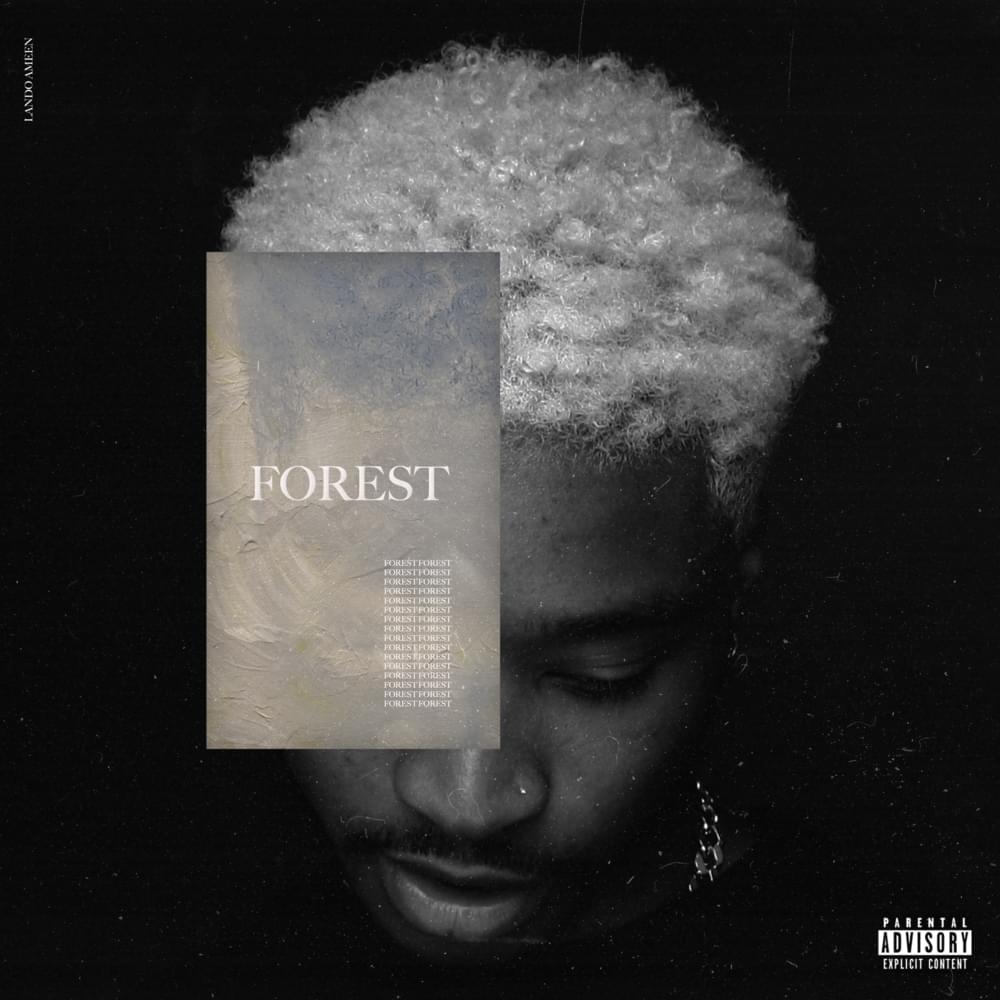 FOREST COLLECTION