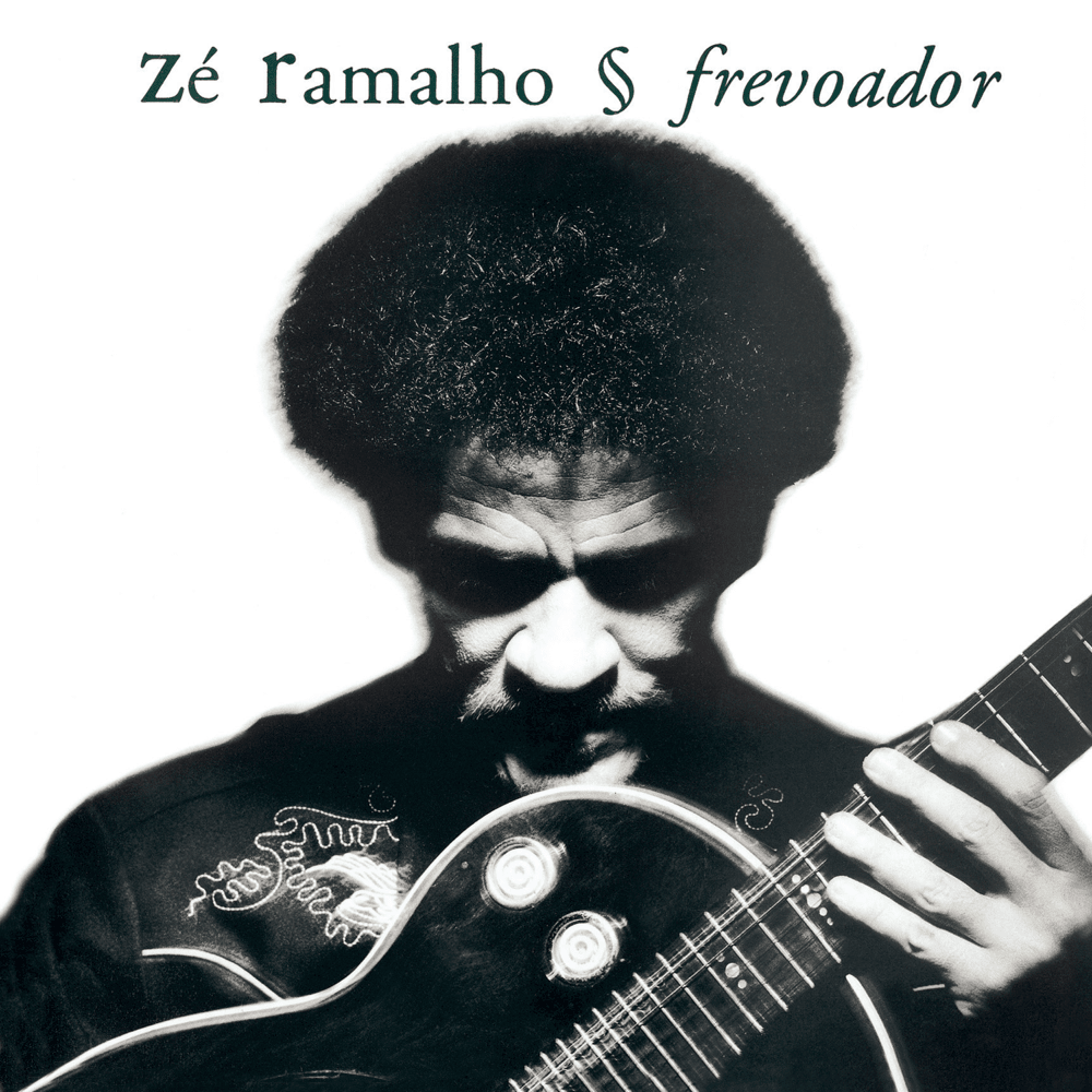 Frevoador