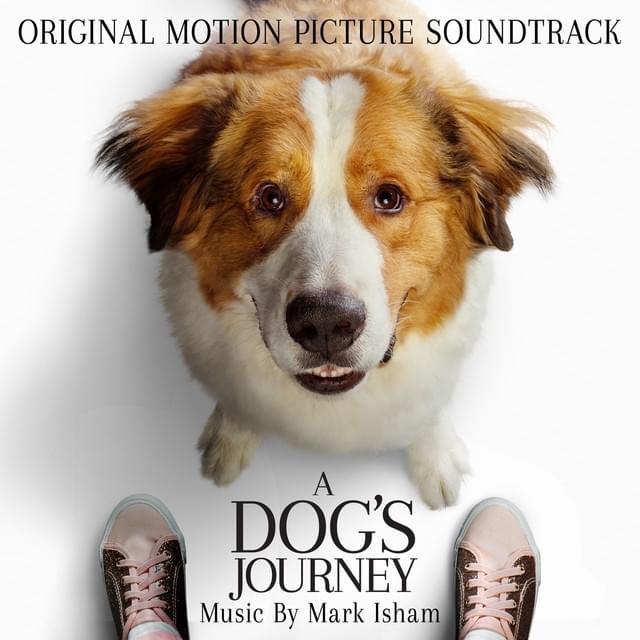 A Dog’s Journey
