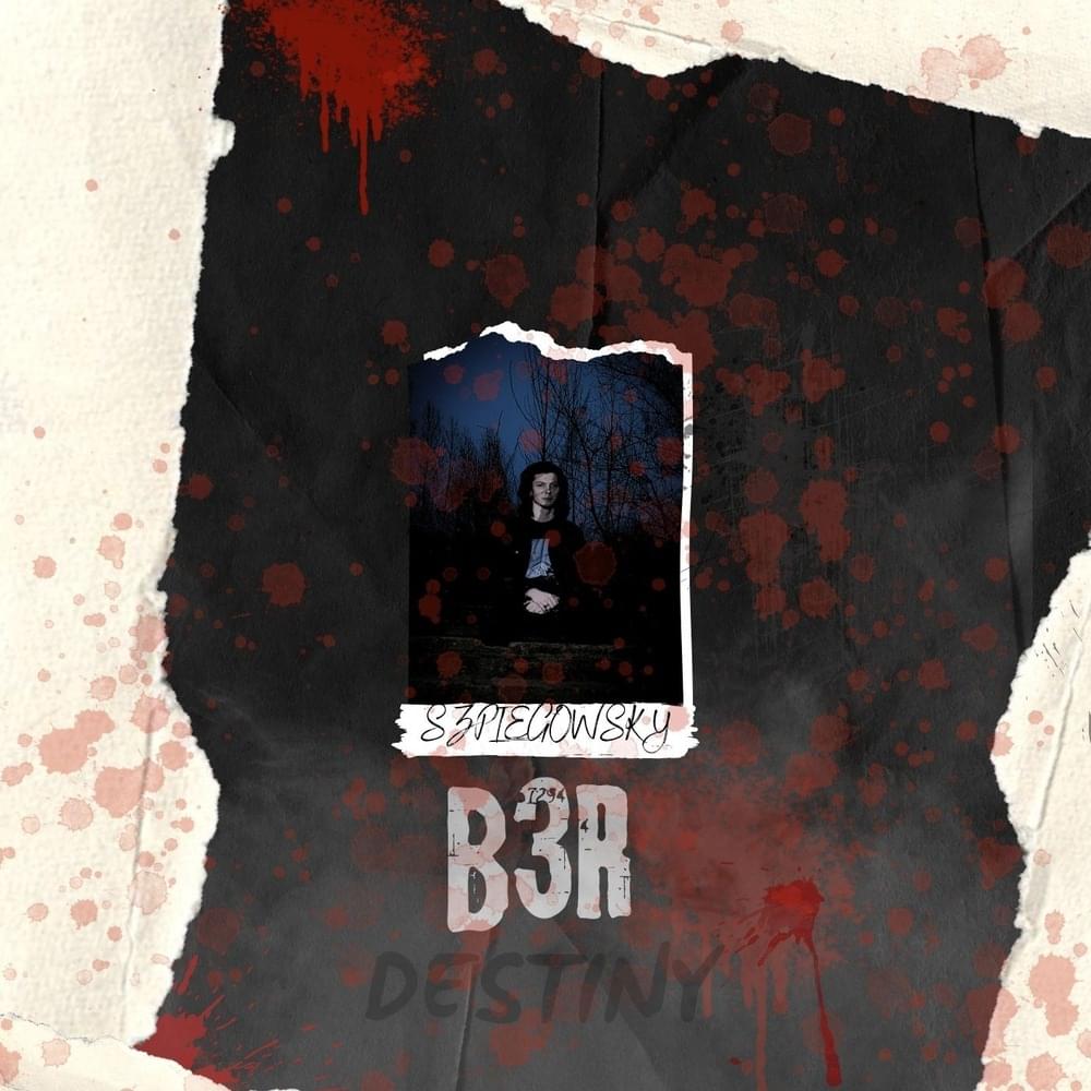 B3R DESTINY