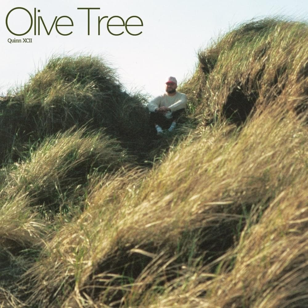 Album cover art for "Olive Tree" by Quinn XCII