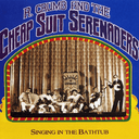 Pedal Your Blues Away Cover Art