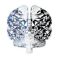 Dual-Brained 1