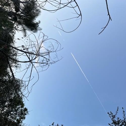 Soundcloud songs