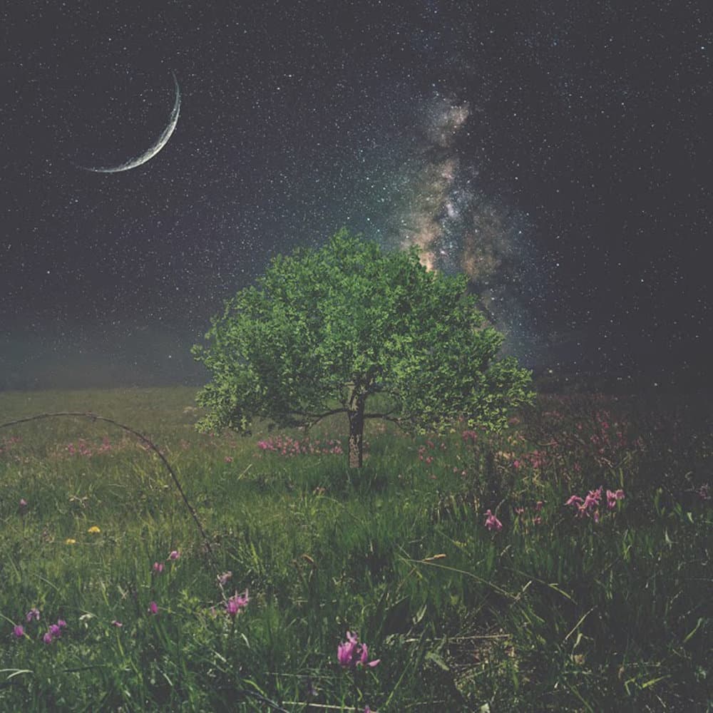 Complex Simplicity Cover Art