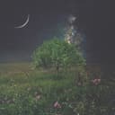 Visions & Goals Cover Art