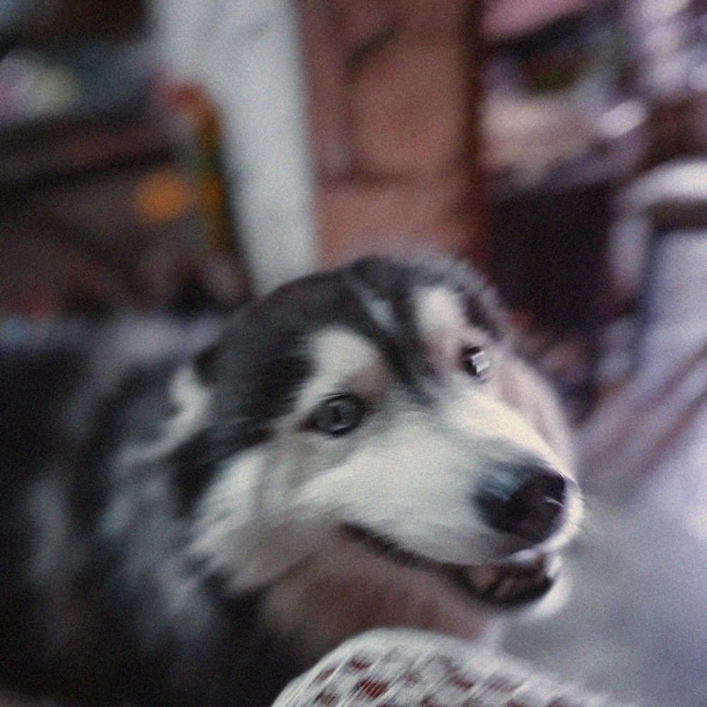 Album cover art for "Lórien" by i don’t like mirrors