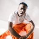 p-rallel profile picture - official artist image