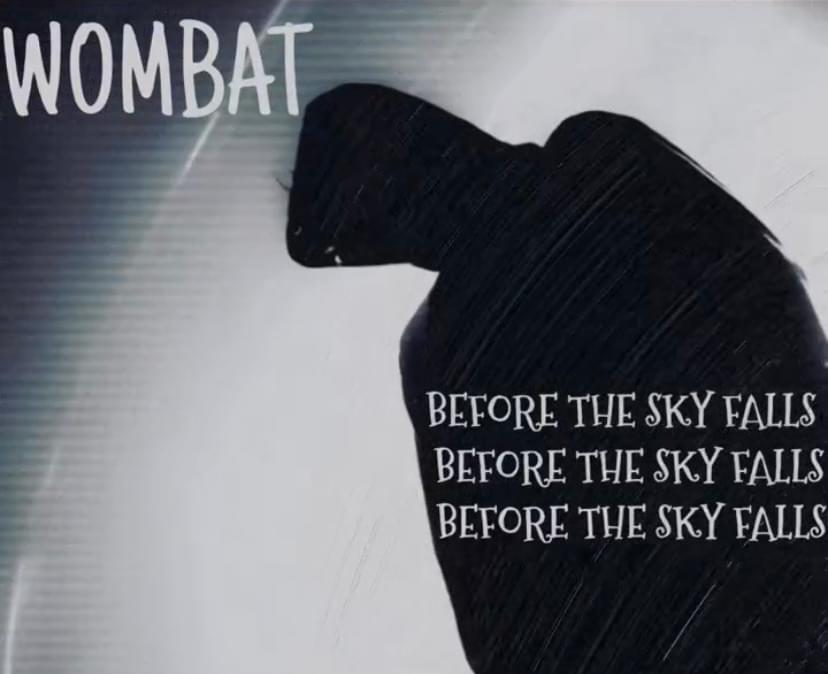 BEFORE THE SKY FALLS