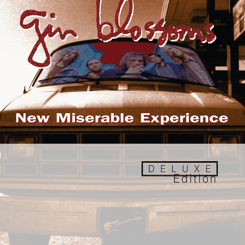 New Miserable Experience (Deluxe Edition)
