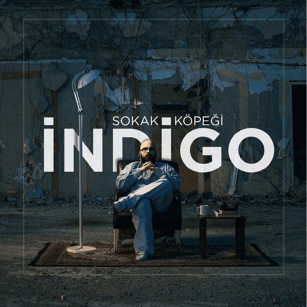 Sokak Köpeği