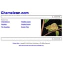 Chameleon.com Cover Art