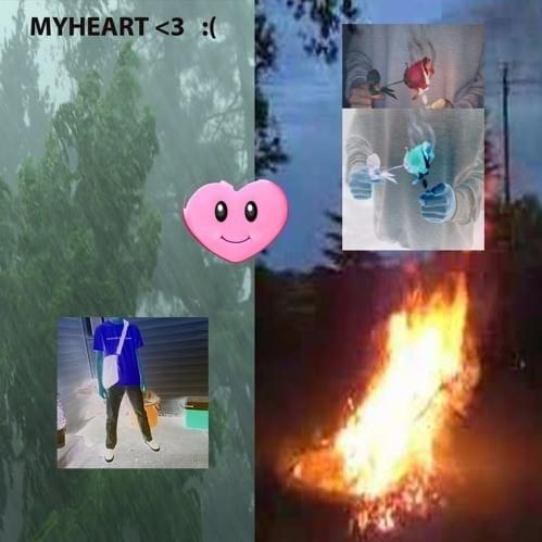 My Heart