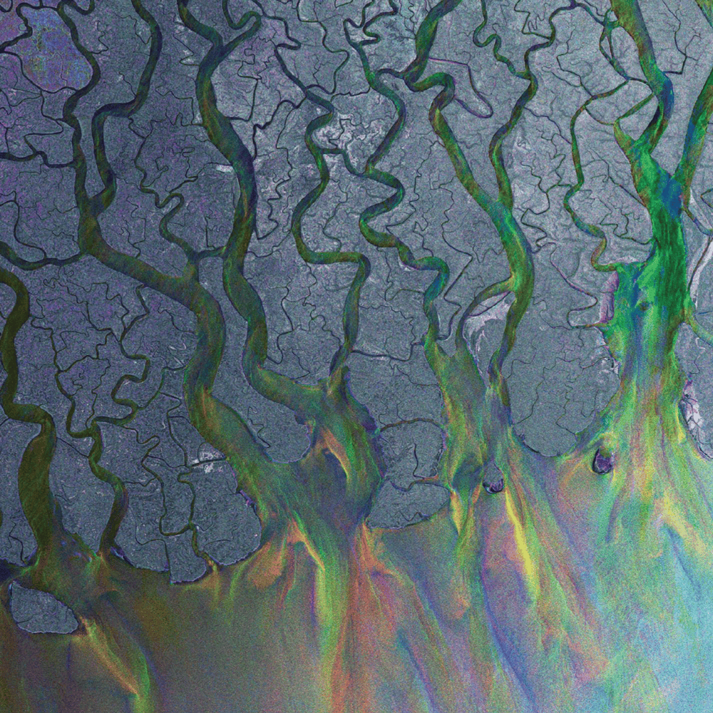 An Awesome Wave