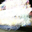 Vivemos num Inferno Cover Art