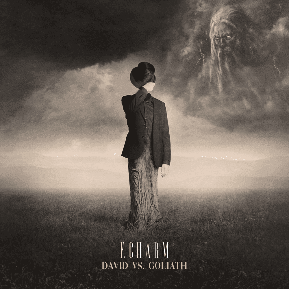 David vs. Goliath Cover Art