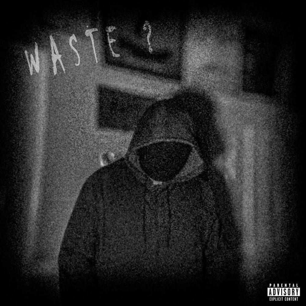 Album cover art for "WASTE ?" by Z.L.Z