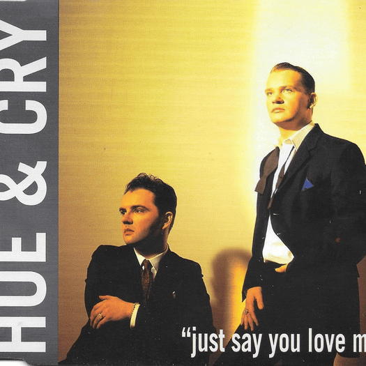Just Say You Love Me