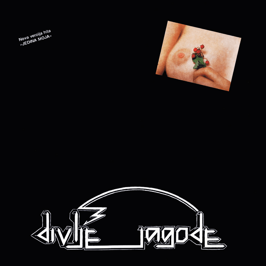 Divlje jagode