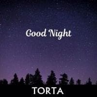 Album cover art for "Good Night" by T One Guy