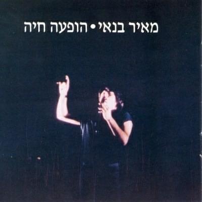 Hofa’a Chaya - הופעה חיה