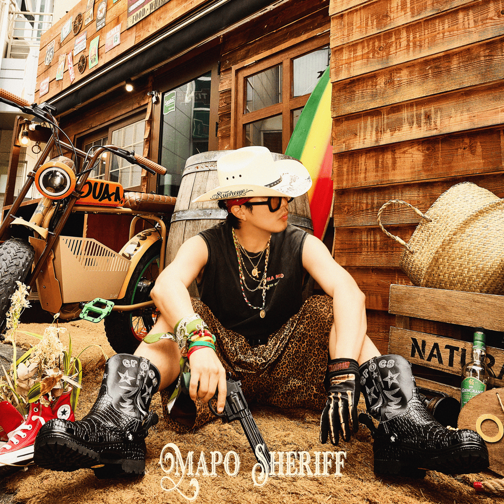 마포구 보안관 (MAPO Sheriff)