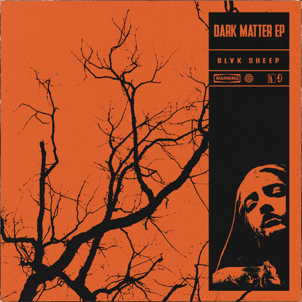 Dark Matter