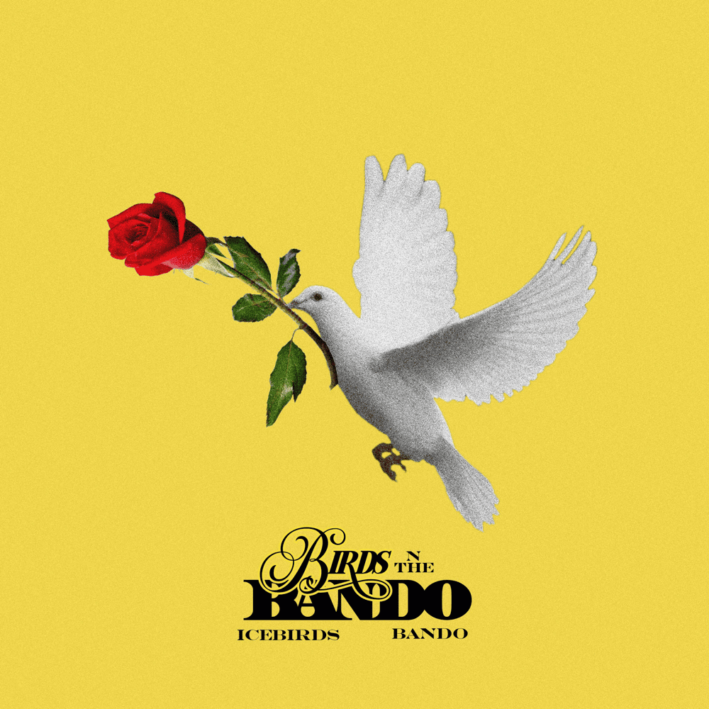 Birds N the Bando