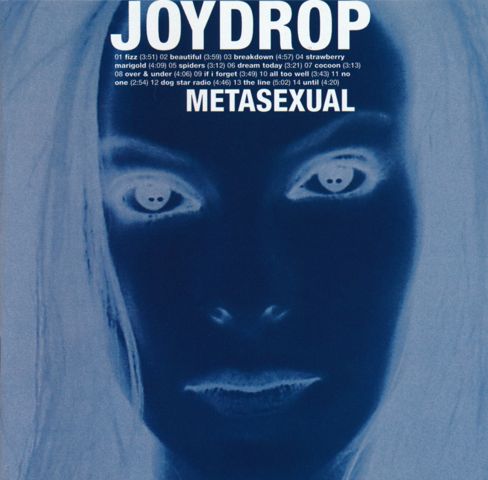 Metasexual